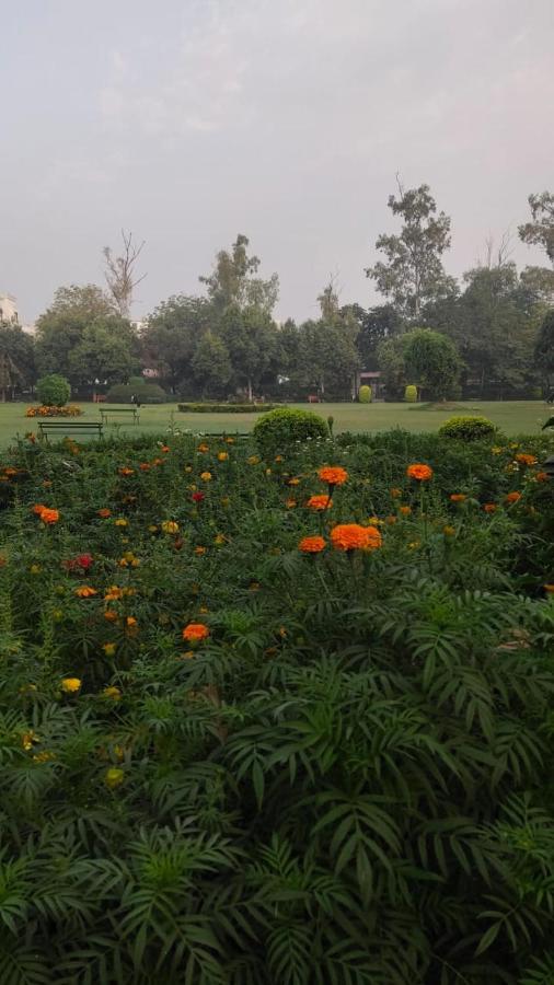 Maplewood Guest House, Neeti Bagh, New Delhiit Is A Boutiqu Guest House - Room 5 Esterno foto